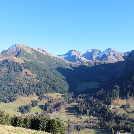 Hundetreffen 2015 im Allgäu (12)